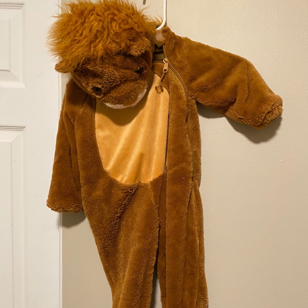 Lion costume